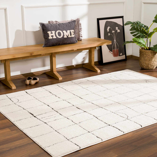 Hauteloom Limited Edition SFEBKEANUA1 Beige Machine Made Polyester Rug