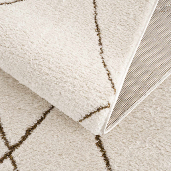 Hauteloom Keone SFEBKEONEA2 Beige Machine Made Polyester Rug