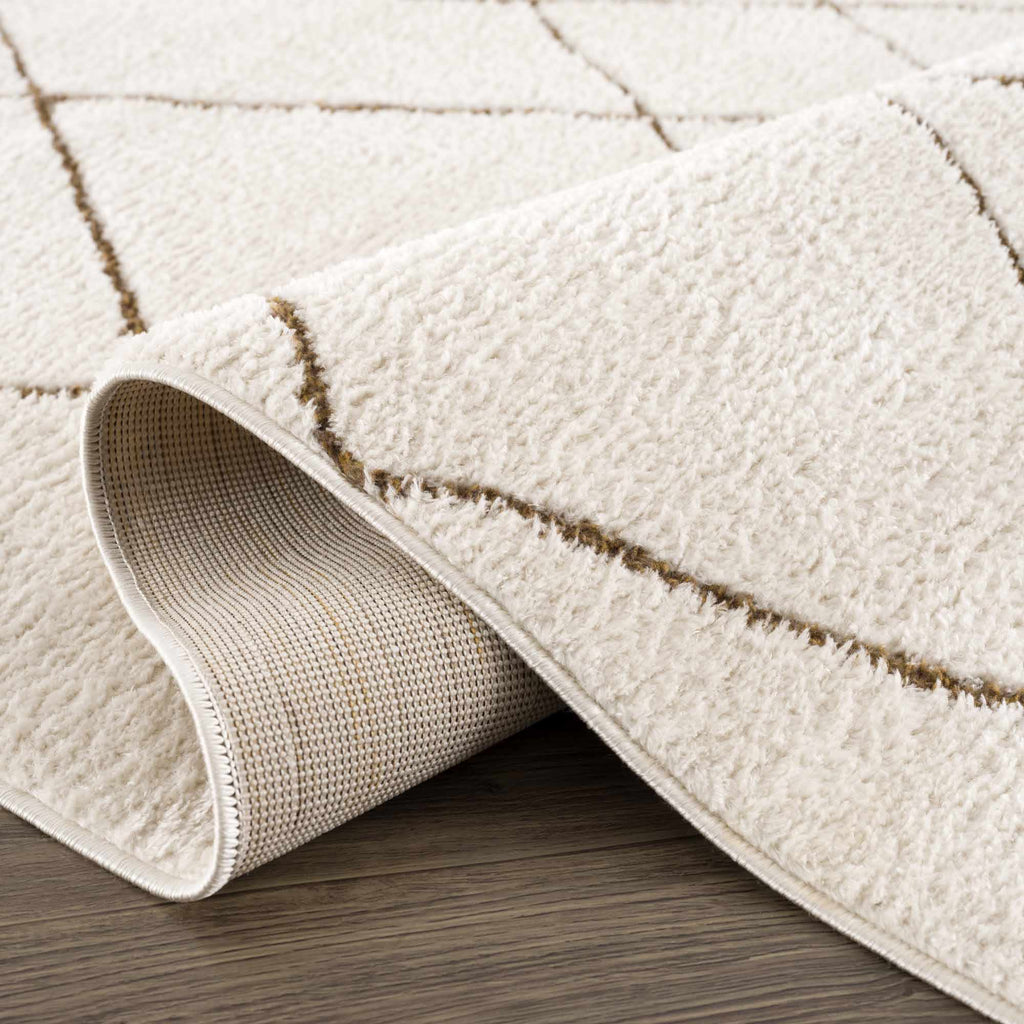 Hauteloom Keone SFEBKEONEA2 Beige Machine Made Polyester Rug