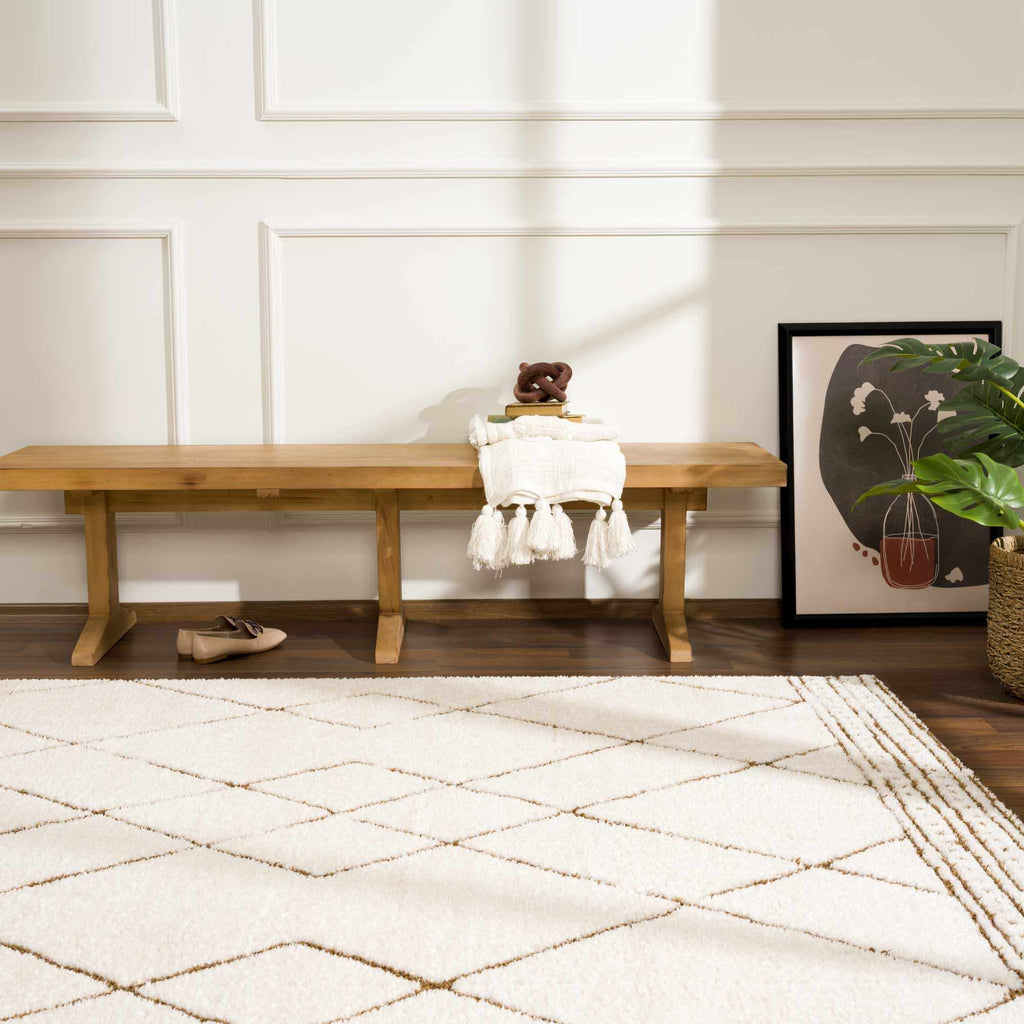 Hauteloom Keone SFEBKEONEA2 Beige Machine Made Polyester Rug