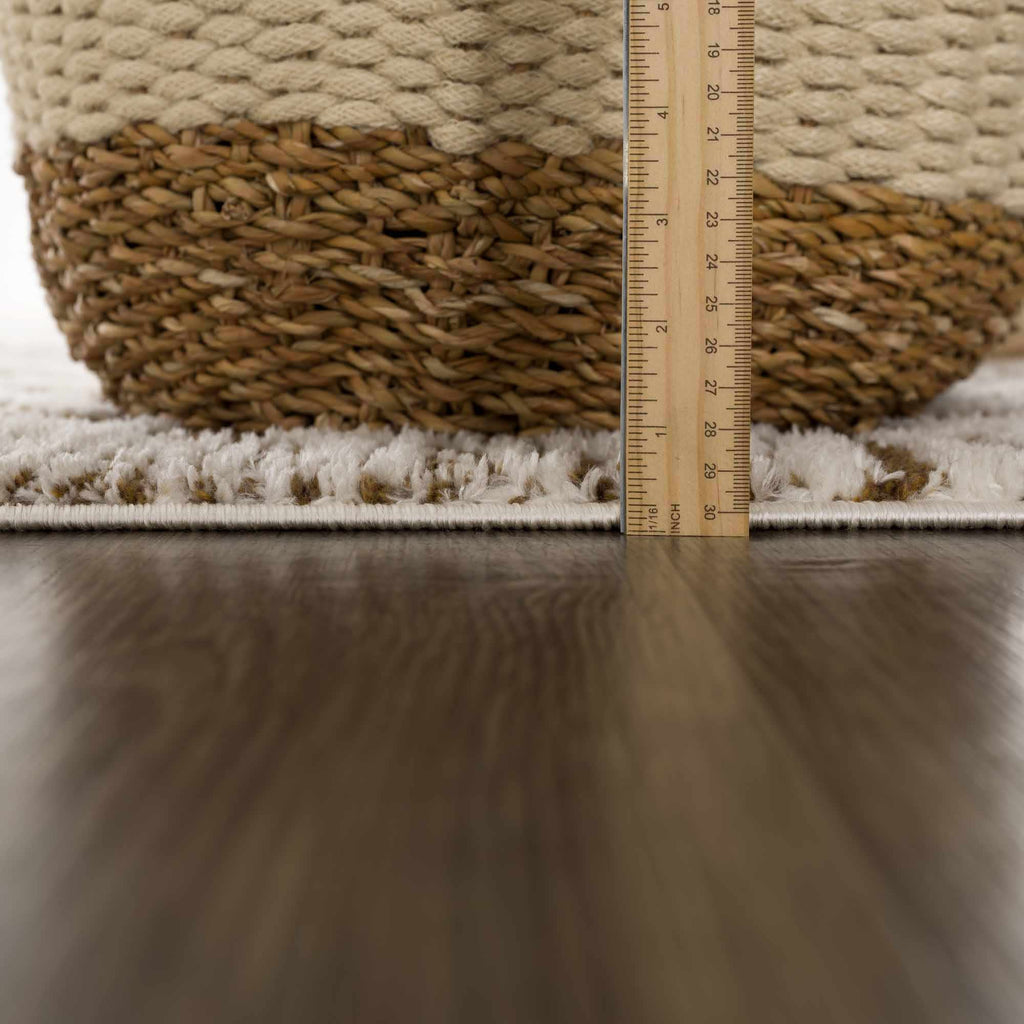 Hauteloom Leryn SFEBLERYNA2 Beige Machine Made Polyester Rug