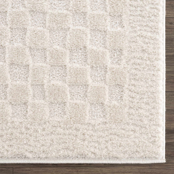 Hauteloom Leryn SFEBLERYNA3 Beige Machine Made Polyester Rug