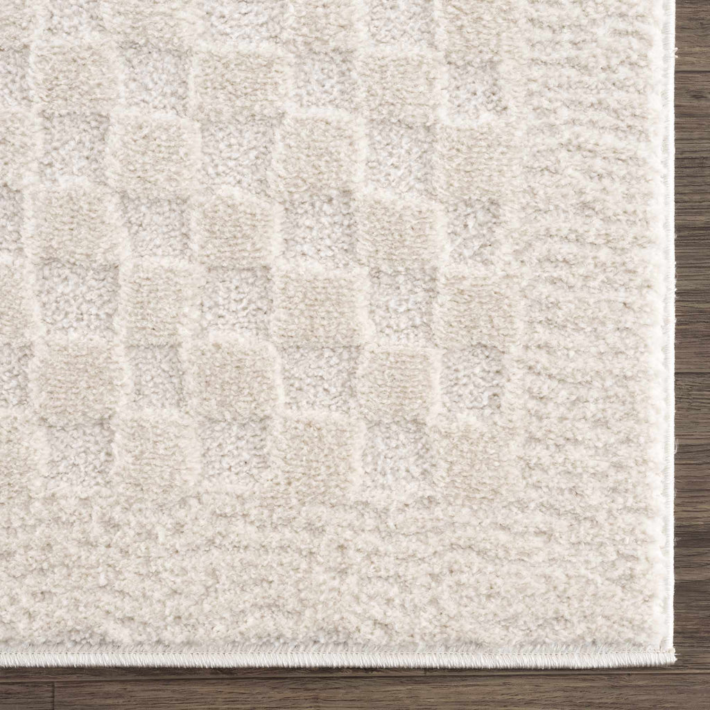 Hauteloom Leryn SFEBLERYNA3 Beige Machine Made Polyester Rug