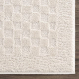 Hauteloom Leryn SFEBLERYNA3 Beige Machine Made Polyester Rug