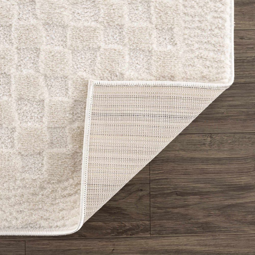 Hauteloom Leryn SFEBLERYNA3 Beige Machine Made Polyester Rug