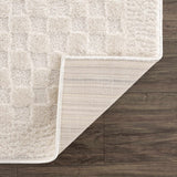 Hauteloom Leryn SFEBLERYNA3 Beige Machine Made Polyester Rug