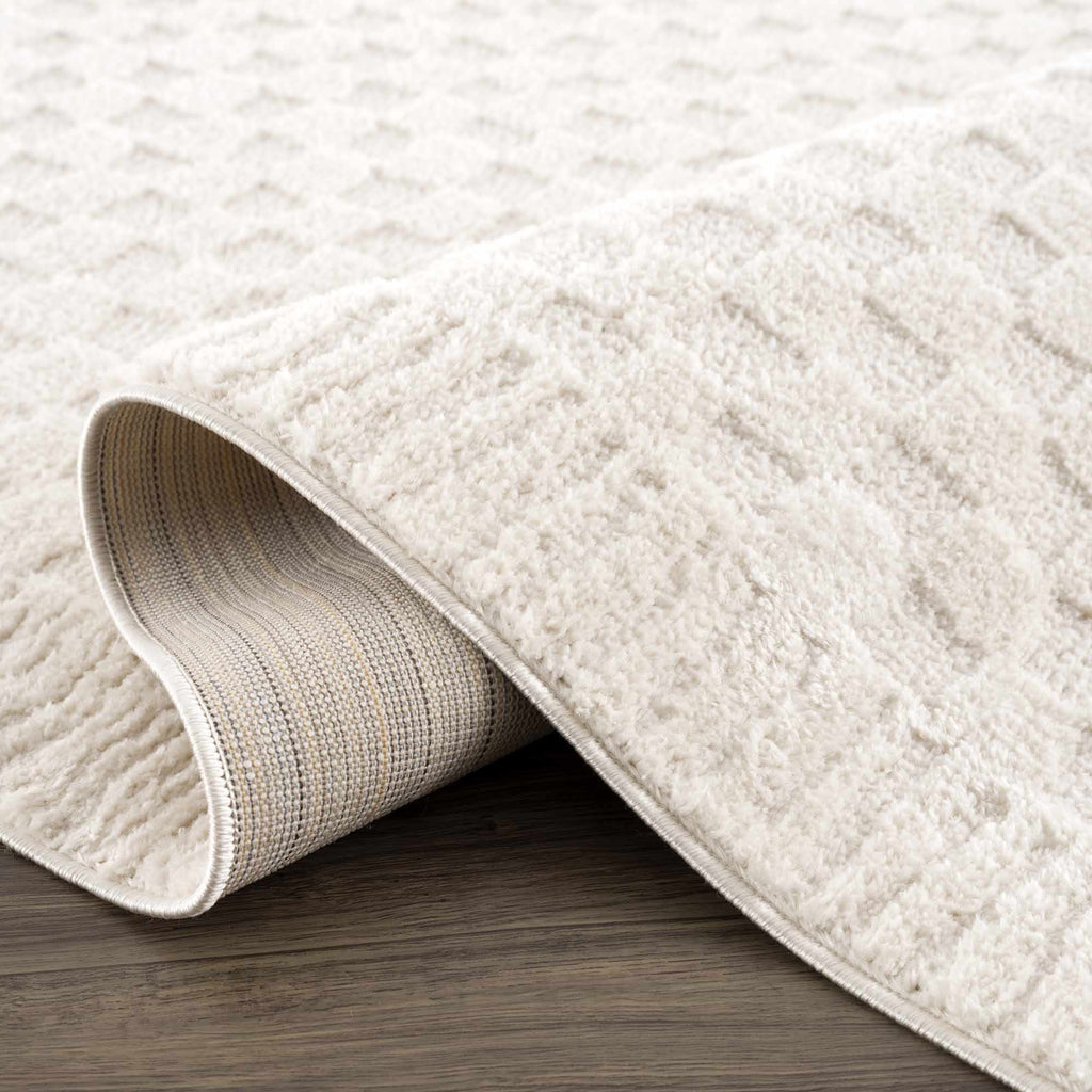 Hauteloom Leryn SFEBLERYNA3 Beige Machine Made Polyester Rug