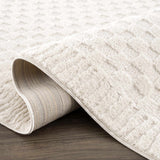 Hauteloom Leryn SFEBLERYNA3 Beige Machine Made Polyester Rug