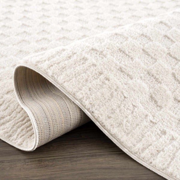 Hauteloom Leryn SFEBLERYNA3 Beige Machine Made Polyester Rug – Rugs ...