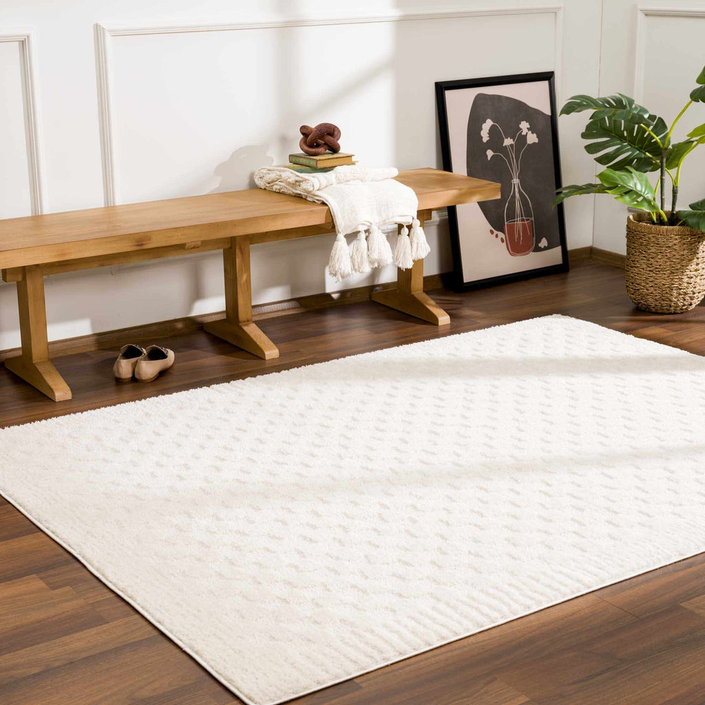 Hauteloom Leryn SFEBLERYNA3 Beige Machine Made Polyester Rug
