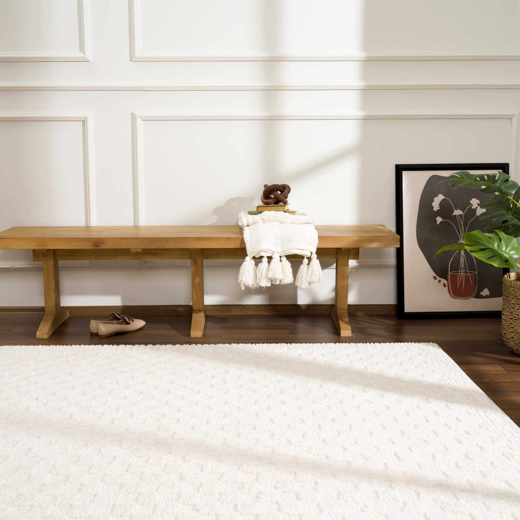 Hauteloom Leryn SFEBLERYNA3 Beige Machine Made Polyester Rug