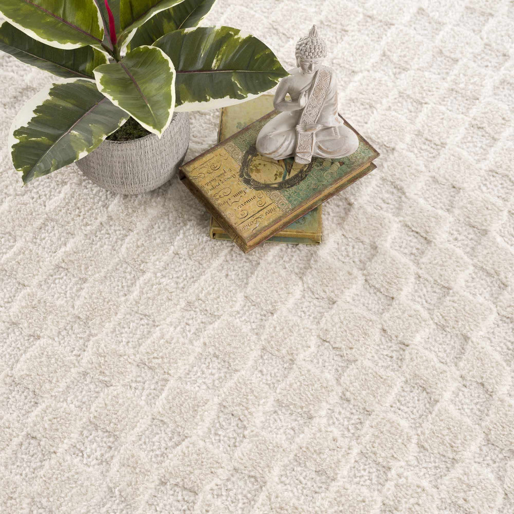 Hauteloom Leryn SFEBLERYNA3 Beige Machine Made Polyester Rug