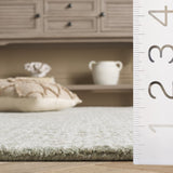 safavieh clearance glamour glm601w sage rug