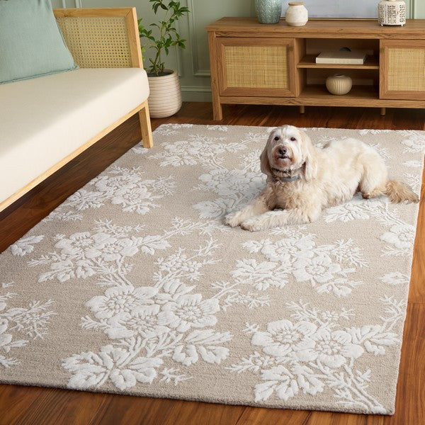 safavieh clearance glamour glm625c sand rug