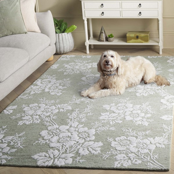 safavieh clearance glamour glm625w sage rug