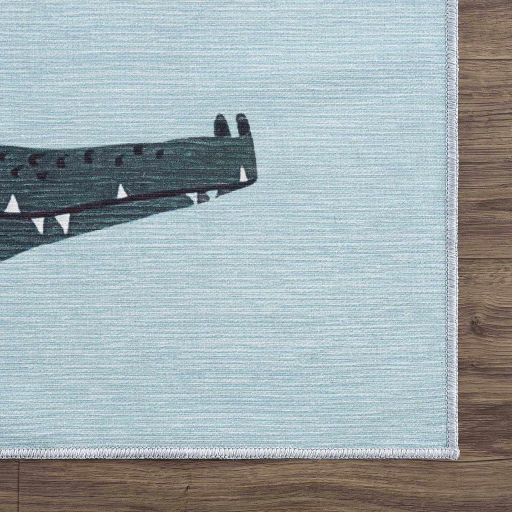 Hauteloom Petey PMFHMA1 Aqua Machine Made Chenille-Polyester Rug