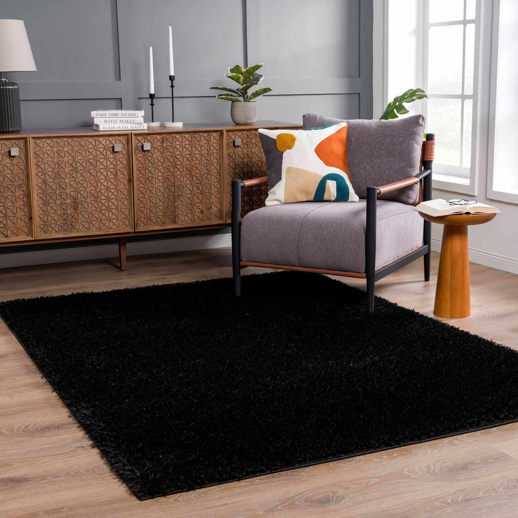 Hauteloom Faina HHAJFAINAA2 Black Machine Made Polyester Rug