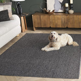 safavieh clearance highland plain hglp900h charcoal rug
