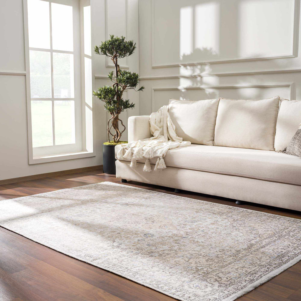 Hauteloom HOLI HOL2301 Beige Machine Made Polyester Rug