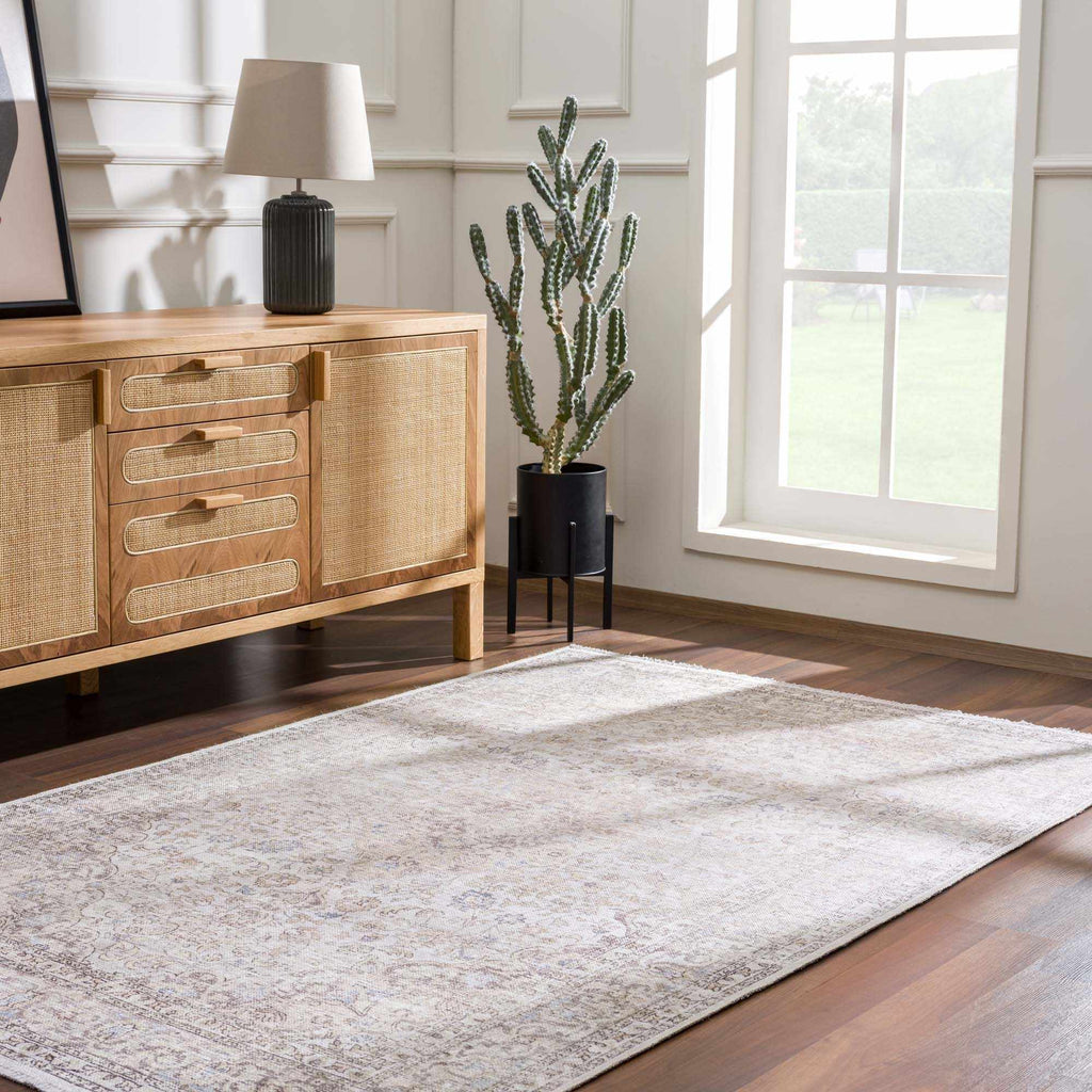 Hauteloom HOLI HOL2301 Beige Machine Made Polyester Rug