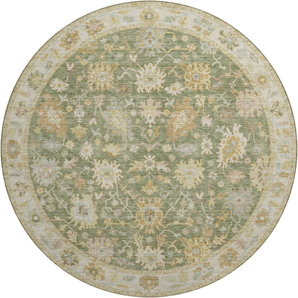 dalyn hatay hy2 aloe rug