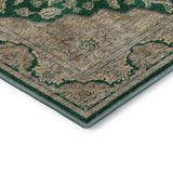 dalyn hatay hy3 emerald rug