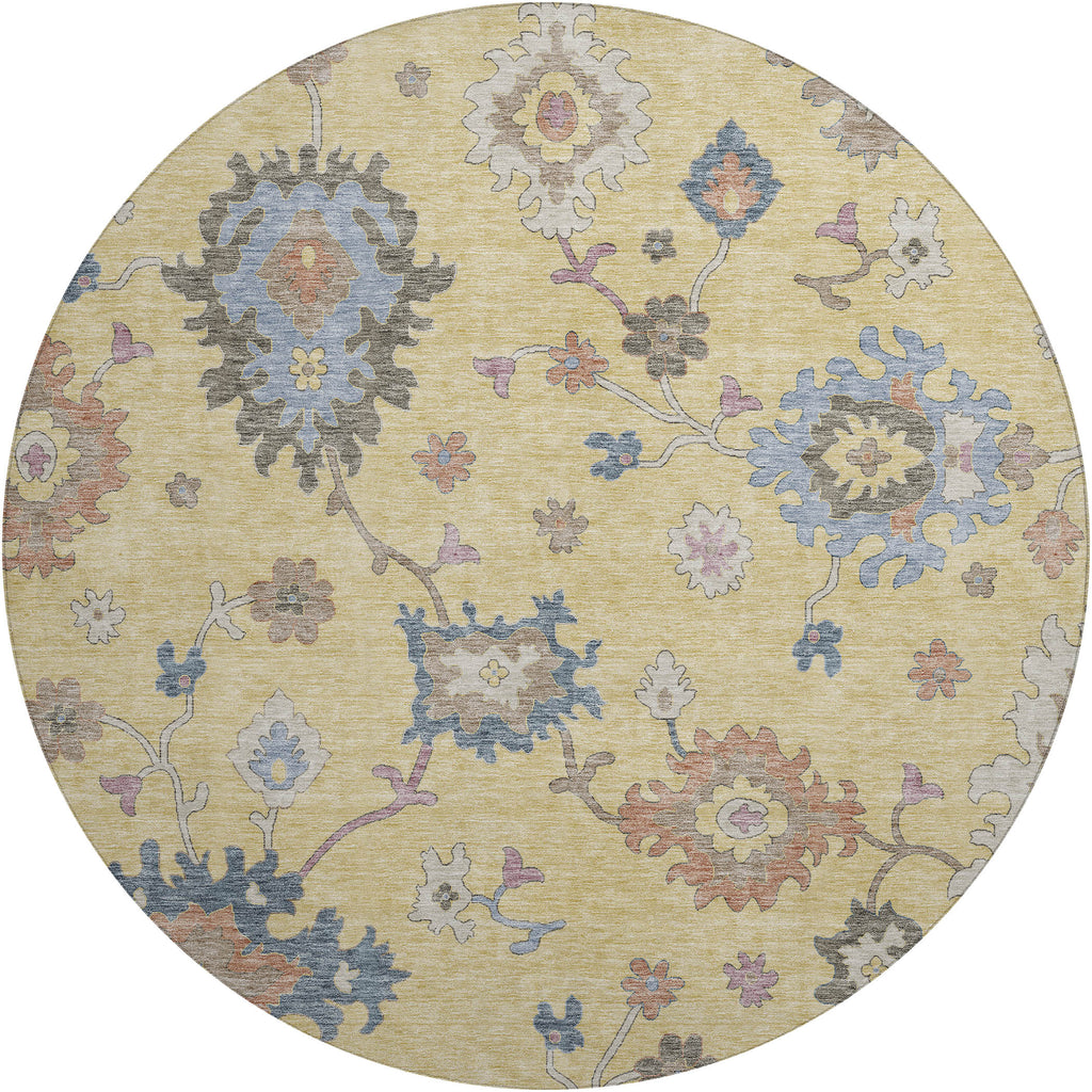 dalyn hatay hy4 gold rug
