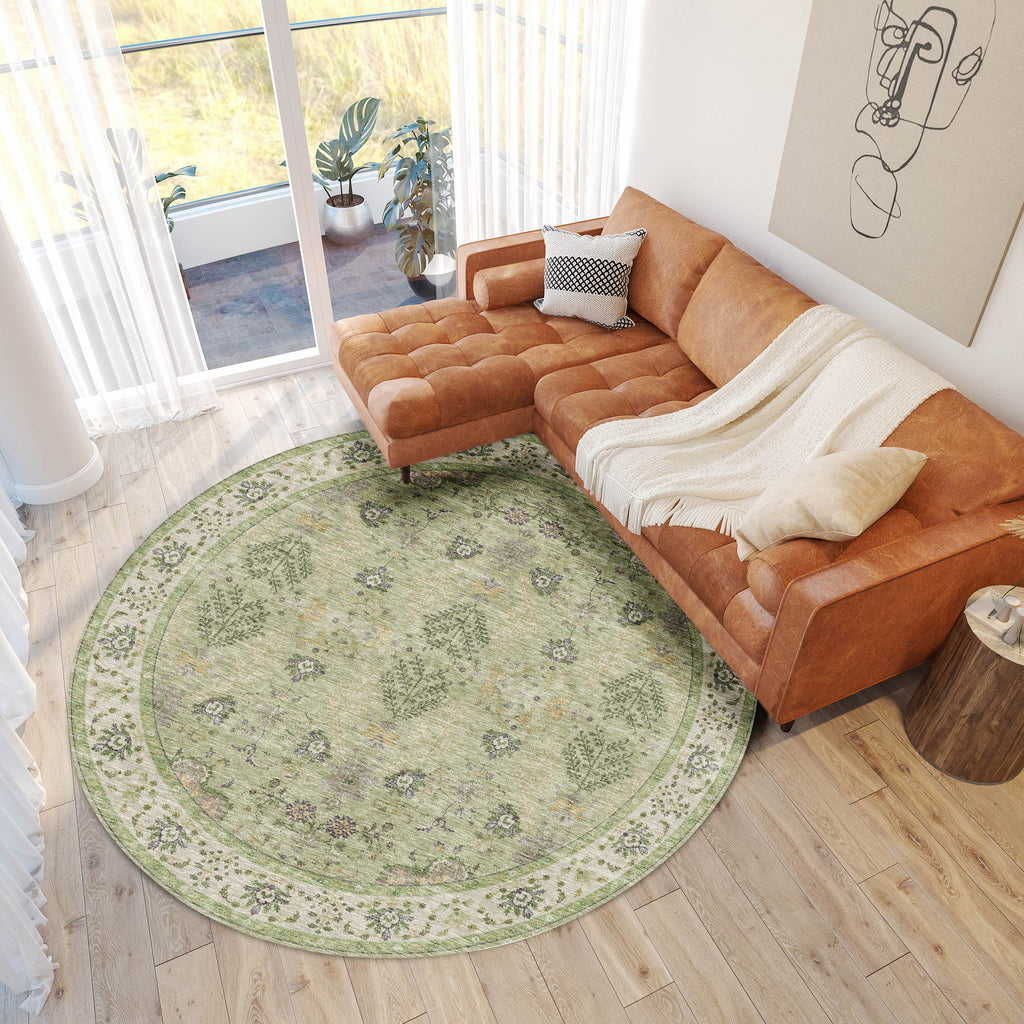 dalyn hatay hy9 aloe rug