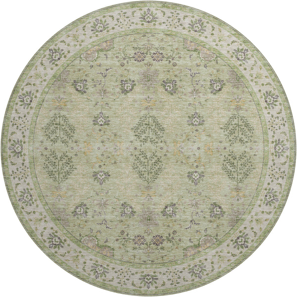 dalyn hatay hy9 aloe rug