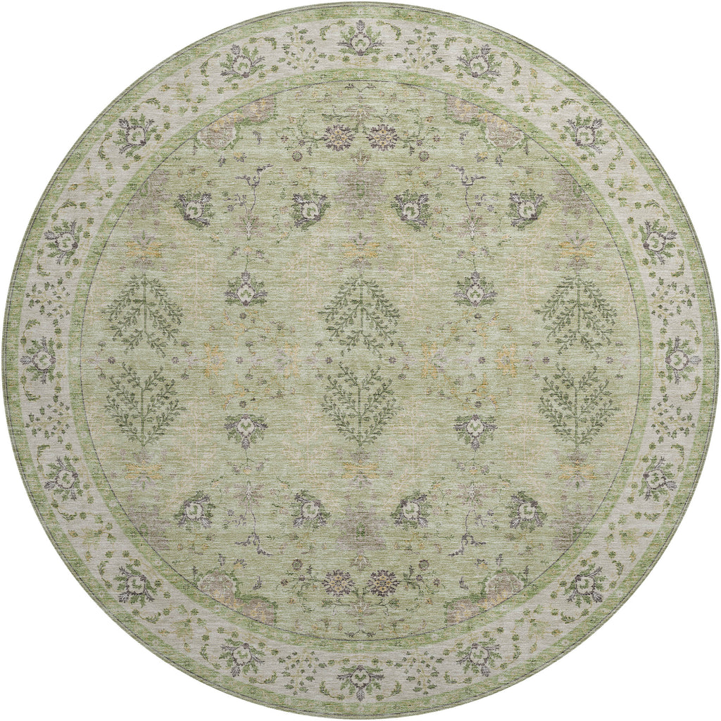 dalyn hatay hy9 aloe rug