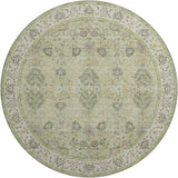 dalyn hatay hy9 aloe rug