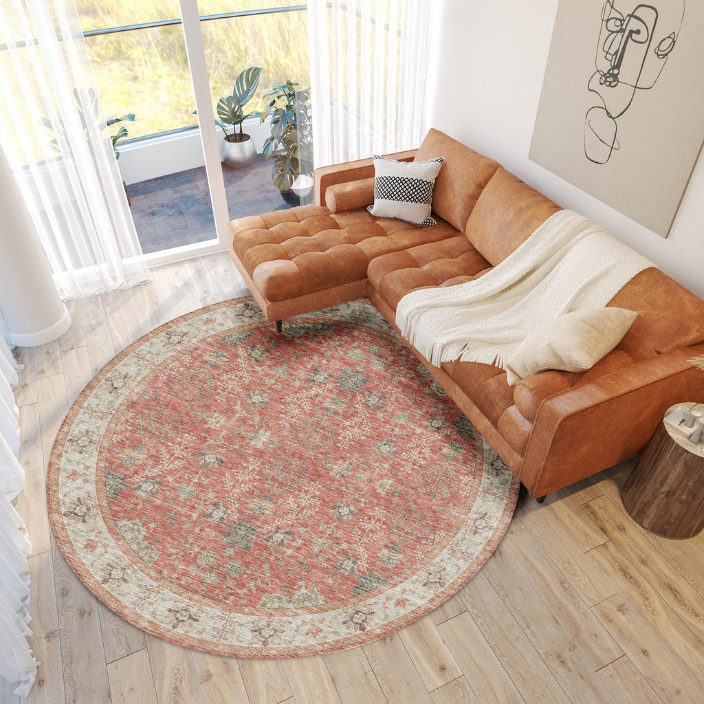 dalyn hatay hy9 coral rug