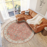 dalyn hatay hy9 coral rug