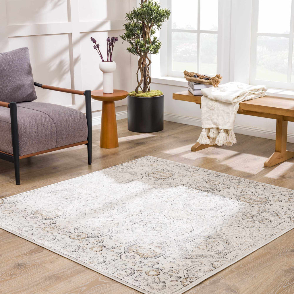 Hauteloom Parkerfield PRKRF Charcoal Machine Made Polypropylene Rug