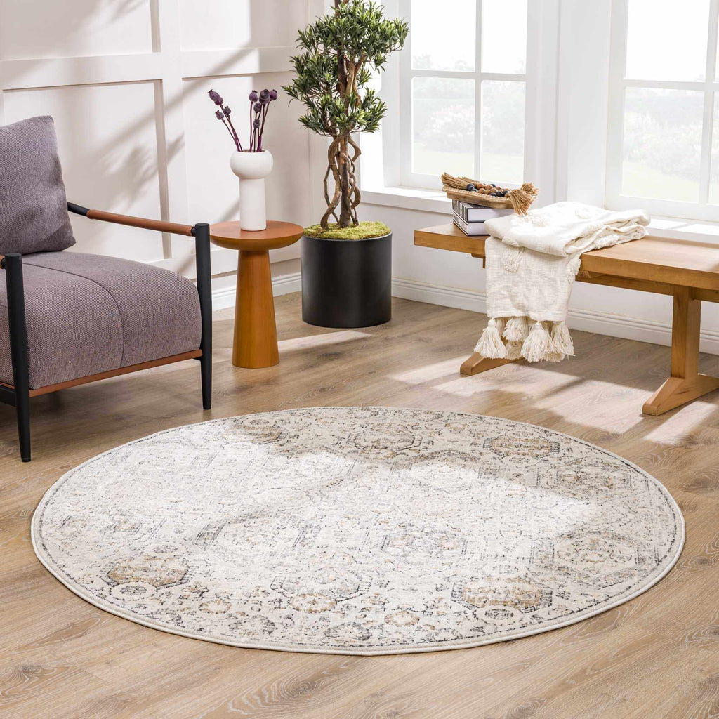 Hauteloom Parkerfield PRKRF Charcoal Machine Made Polypropylene Rug