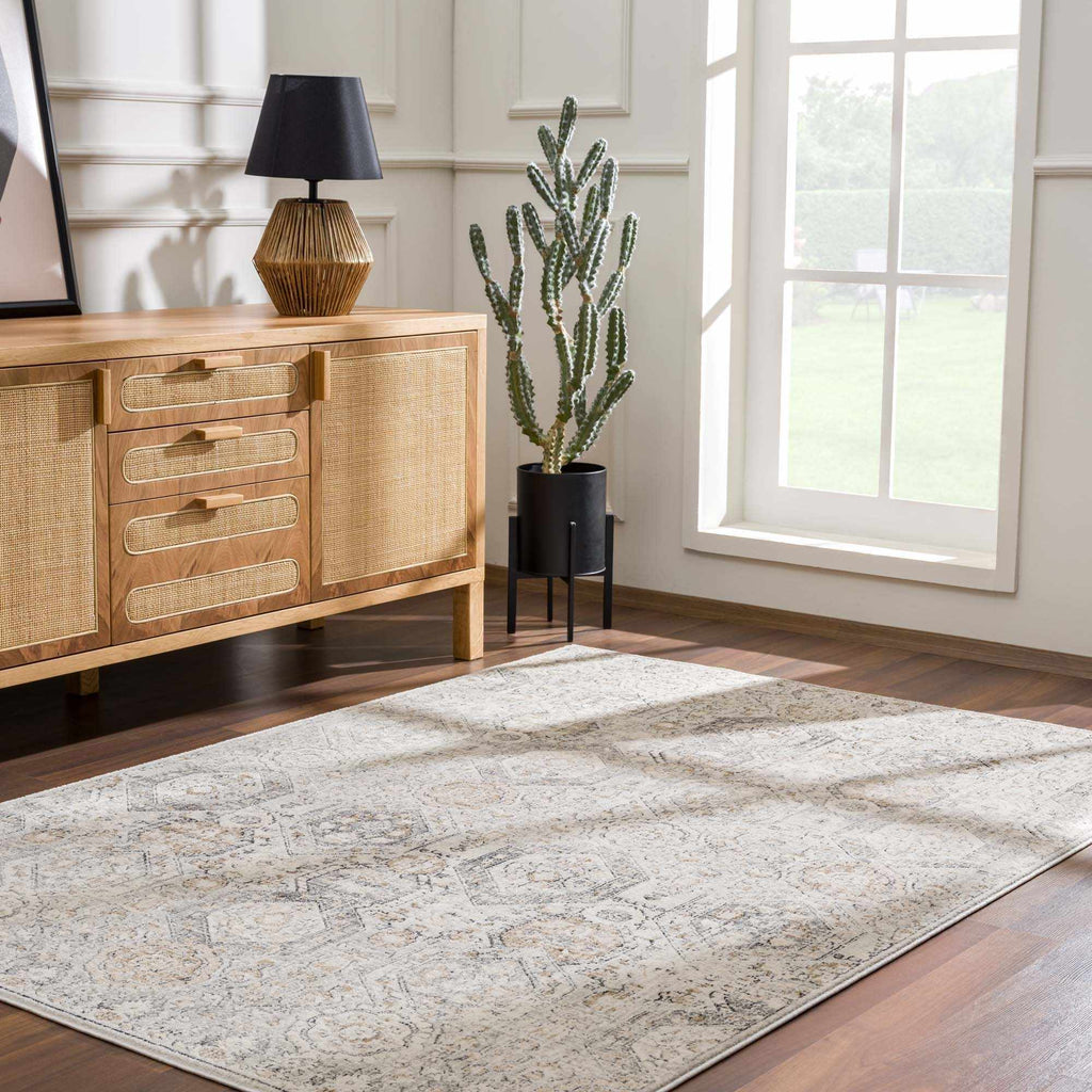 Hauteloom Parkerfield PRKRF Charcoal Machine Made Polypropylene Rug