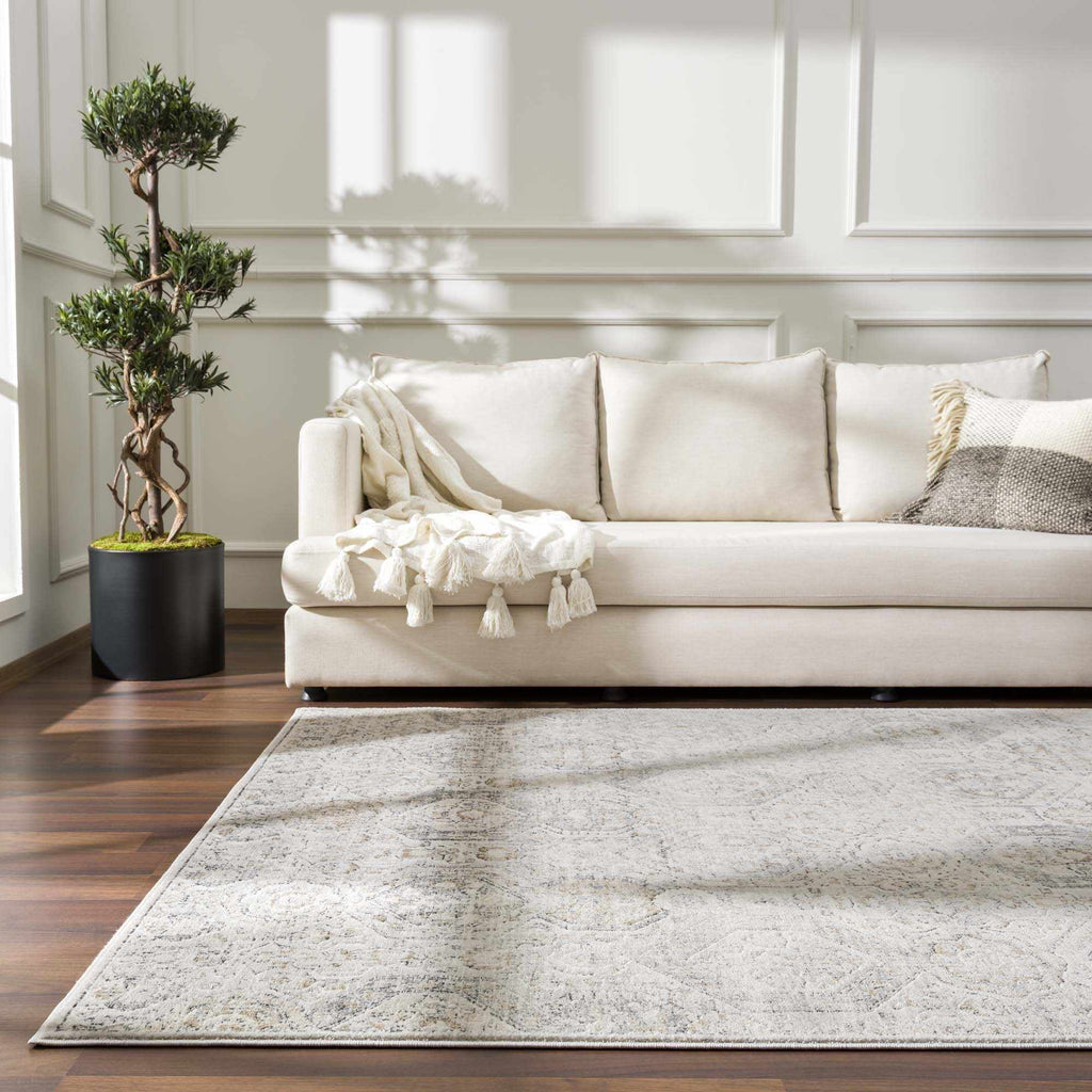 Hauteloom Parkerfield PRKRF Charcoal Machine Made Polypropylene Rug