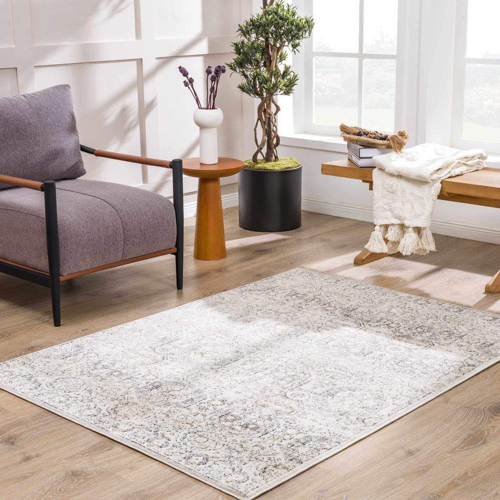 Hauteloom Parkerfield PRKRF Charcoal Machine Made Polypropylene Rug