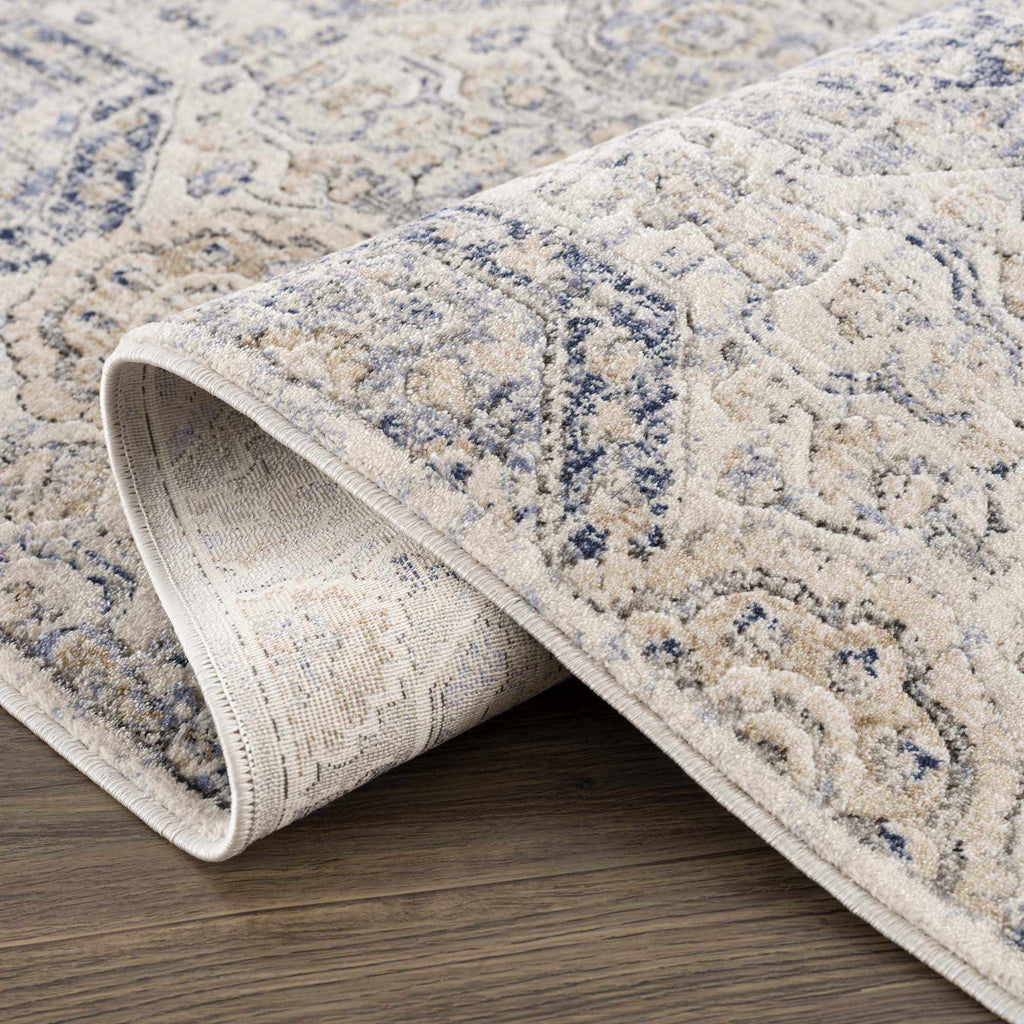 Hauteloom Burnettsville BRNTT Navy Machine Made Polypropylene Rug