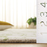 safavieh clearance jardin jar329y ivory rug