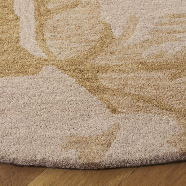 safavieh clearance jardin jar403b ivory rug