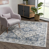Hauteloom Murrindindi MRRN Light Gray Machine Made Polypropylene Rug