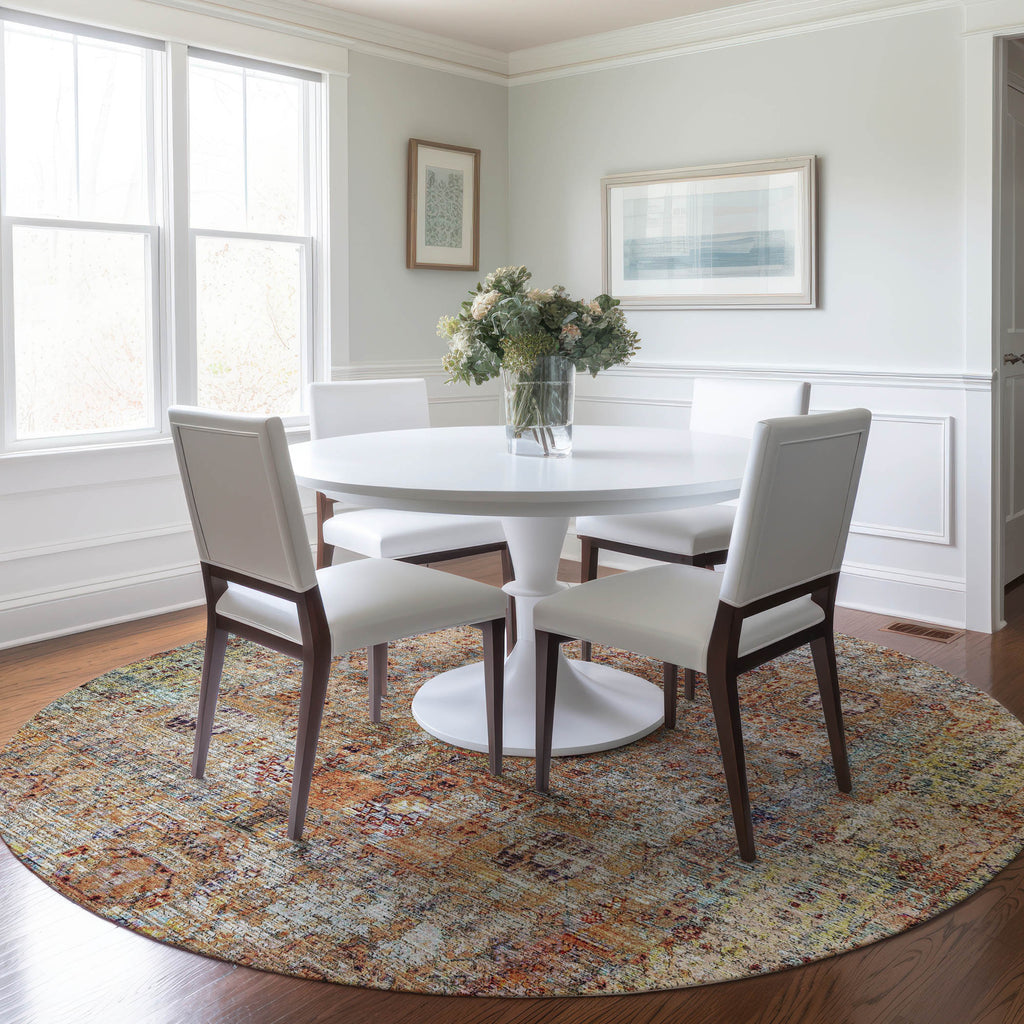 dalyn karaj kj1 coral rug