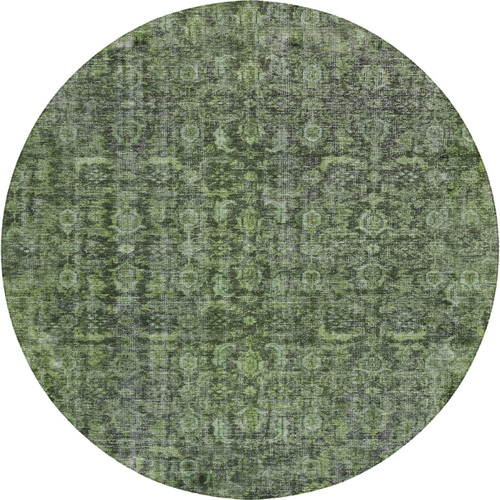 dalyn karaj kj3 cactus rug