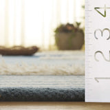 safavieh clearance kenya kny278m blue rug