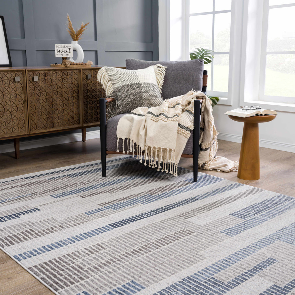 Hauteloom Limited Edition HLEBBRISAA1 Gray Machine Made Polypropylene Rug