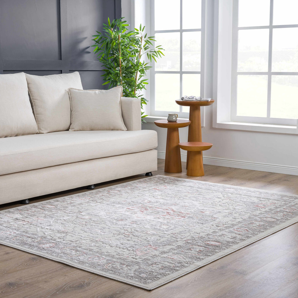 Hauteloom Damla HLEBDAMLAA1 Gray Machine Made Polypropylene Rug