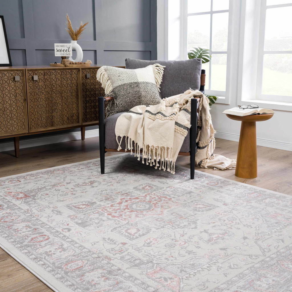 Hauteloom Damla HLEBDAMLAA1 Gray Machine Made Polypropylene Rug