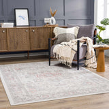 Hauteloom Damla HLEBDAMLAA1 Gray Machine Made Polypropylene Rug