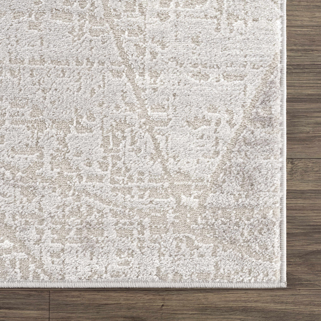 Hauteloom Limited Edition HLEBBASICA1 Light Gray Machine Made Polypropylene Rug